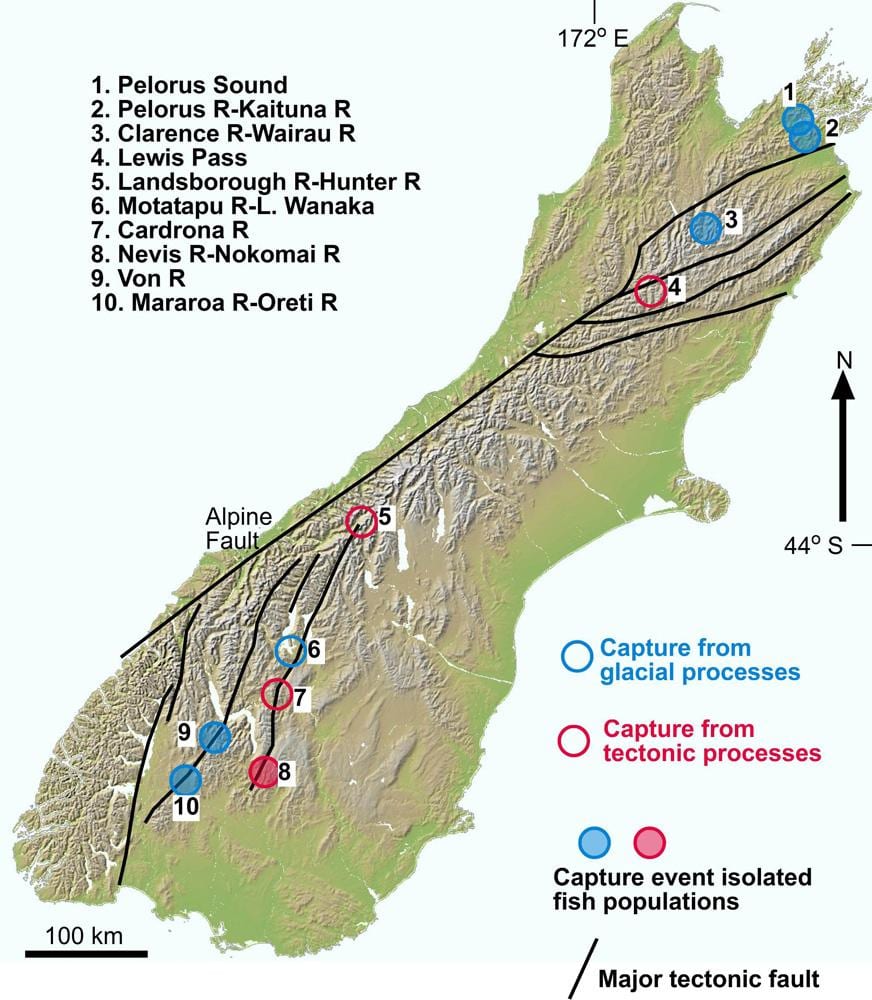 Mapa ibaiaren haitzartea zeelanda berria