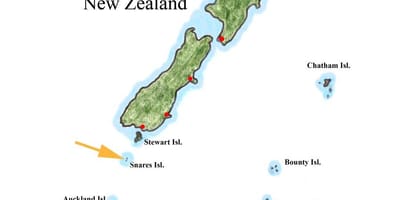 Mapa zeelanda berria eta inguruko uharte